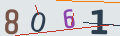 verifycode